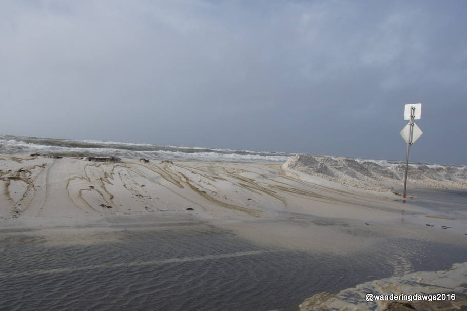 Water on Fort Pickens Road