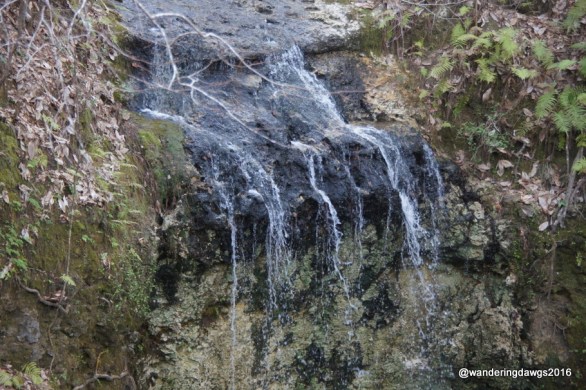Florida's Tallest Waterfall
