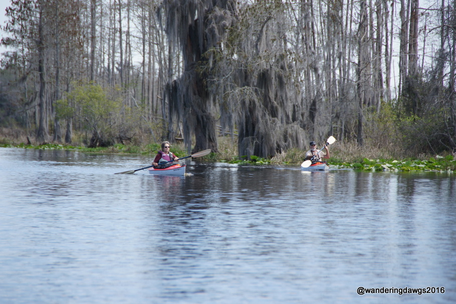 It was a beautiful day for kayaking