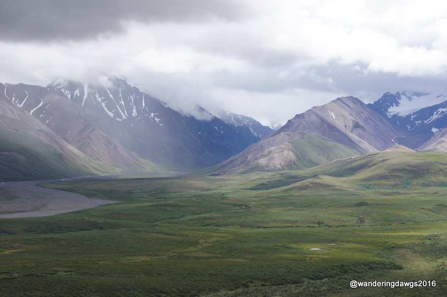 Polychrome Overlook, Denali National Park, Alaska