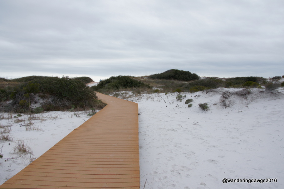 Boardwalk through pure white sand at Ft. Pickens