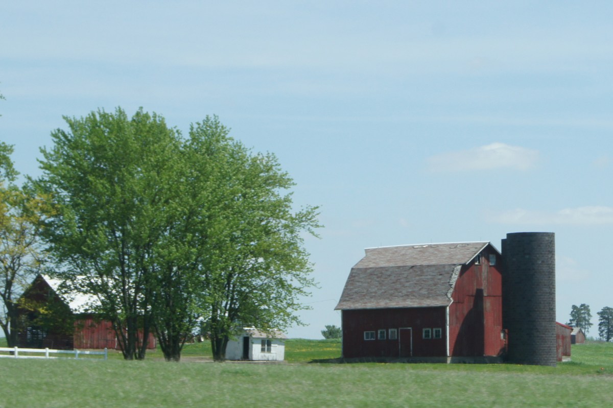 I love seeing the farms as we drive along