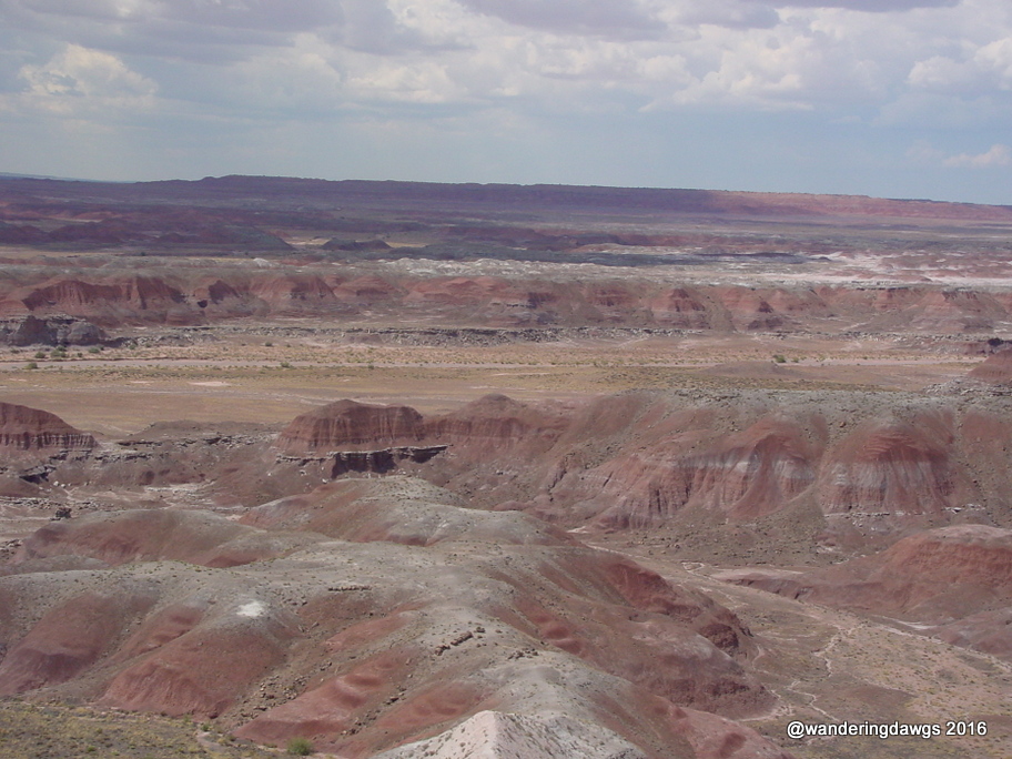 Petrified Forest National Park, Arizona