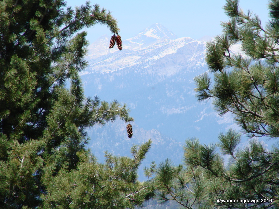 Kings Canyon National Park, California