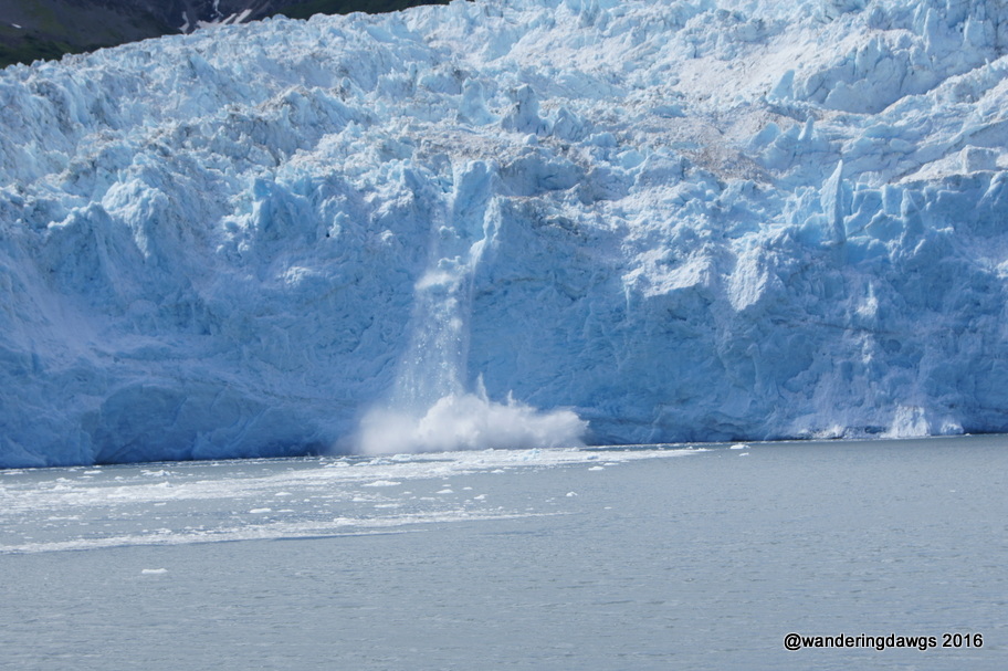 Kenai Fjords National Park, Alaska