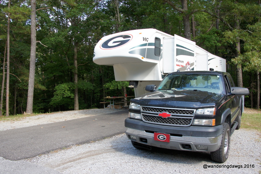 Wandering Dawgs in Oak Mountain State Park Site A28