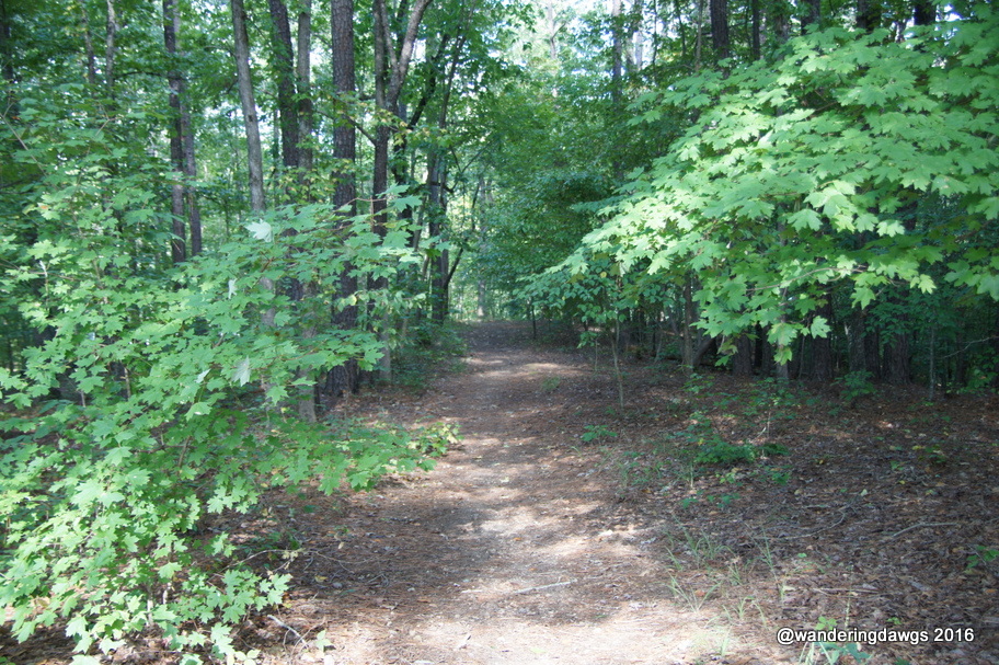 Moccasin Nature Trail behind our campsite