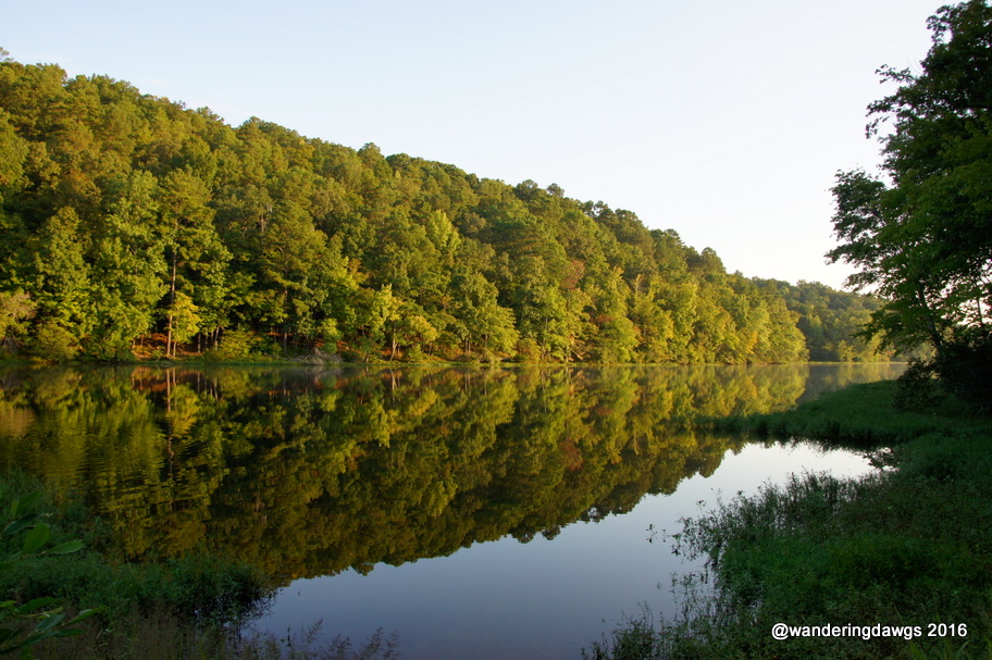 Early Morning at Tranquility Lake
