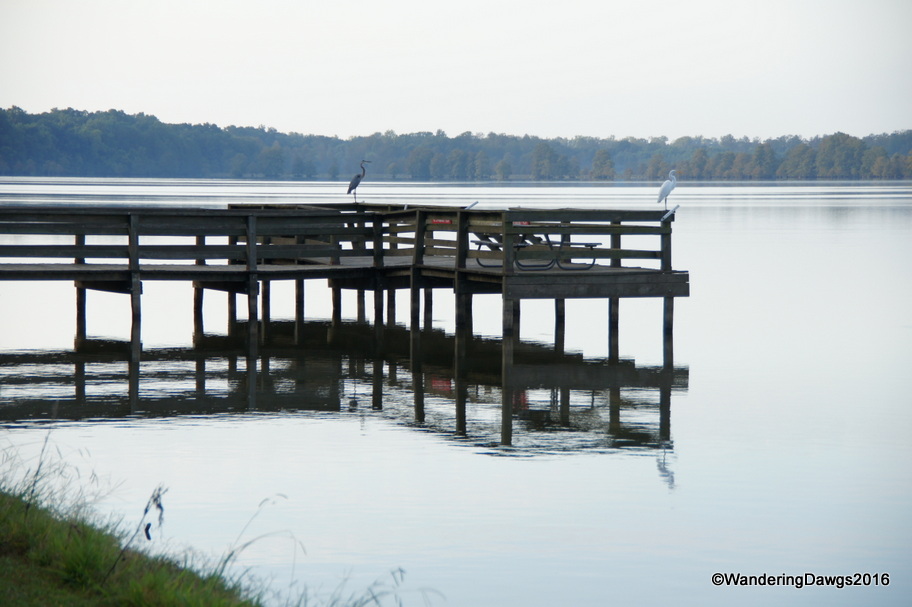 Morning on the fishing dock