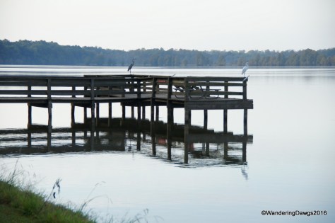 Morning on the fishing dock