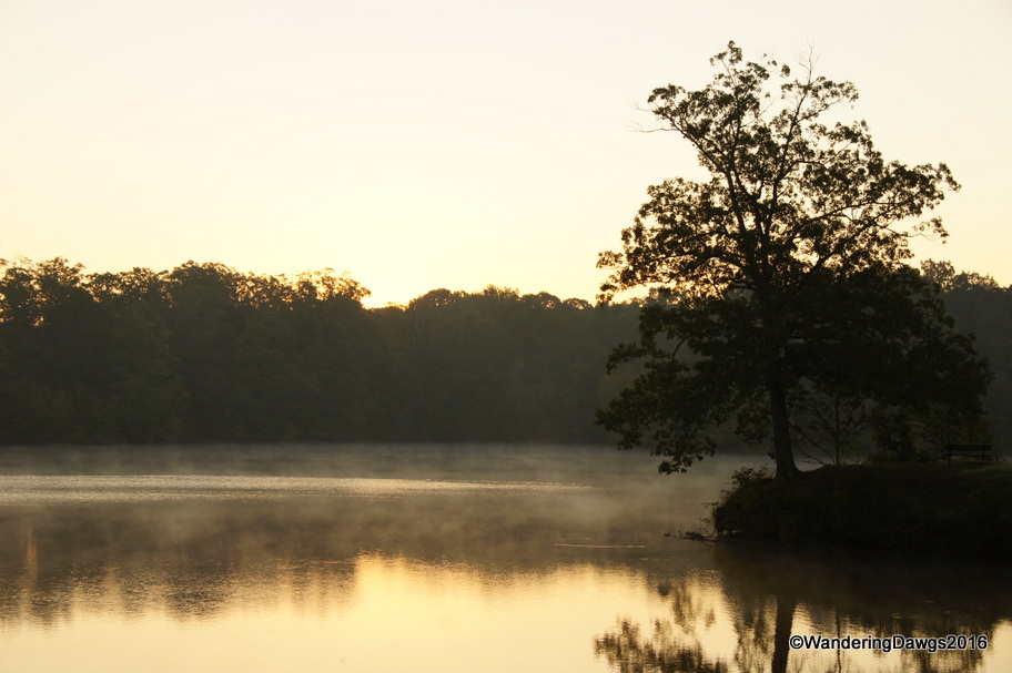 Early morning on Bear Creek Lake