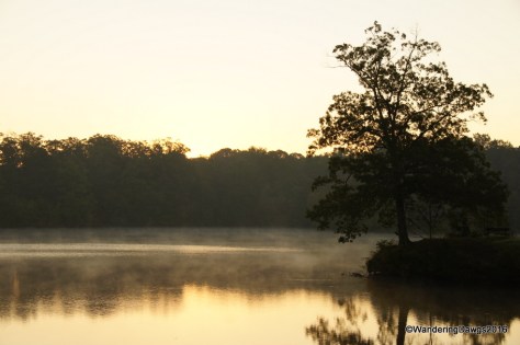 Early morning on Bear Creek Lake