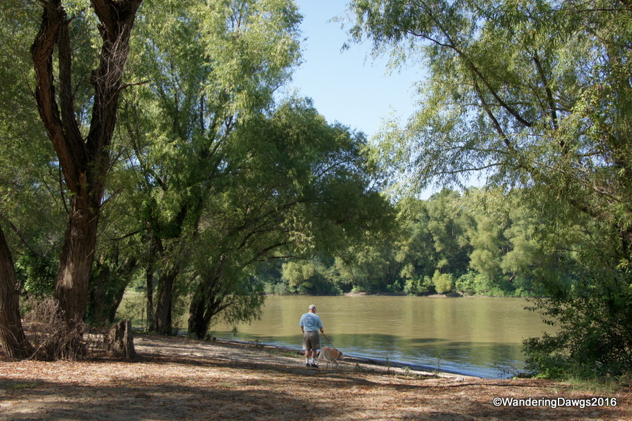 Henry and Blondie under the willow beside the St. Francis River