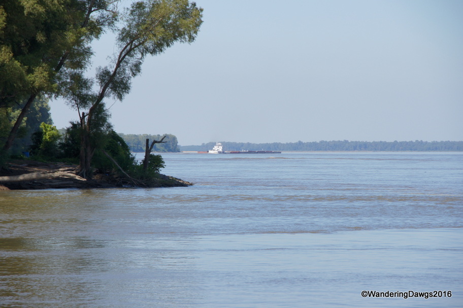 Confluence of St. Francis and Mississippi River