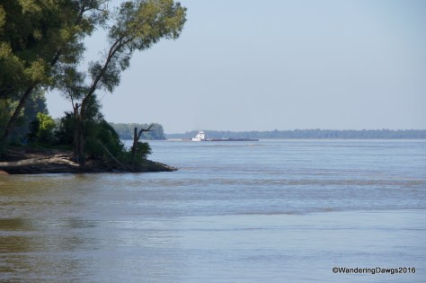 Confluence of St. Francis and Mississippi River