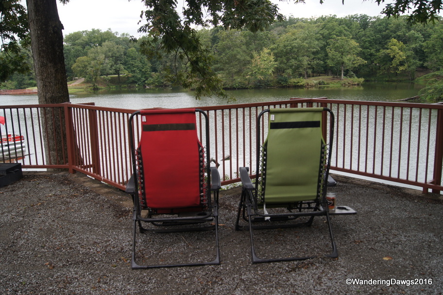 Our campsite was a great place to watch the herons, egrets