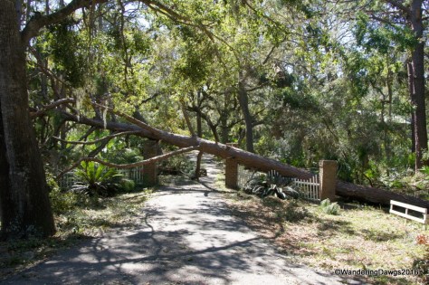 Another blocked driveway