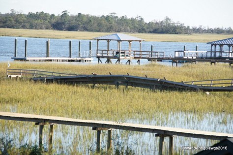 Neighbors walkway to dock landed in the marsh