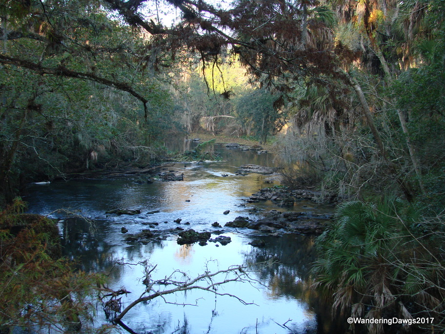 Hillsborough River
