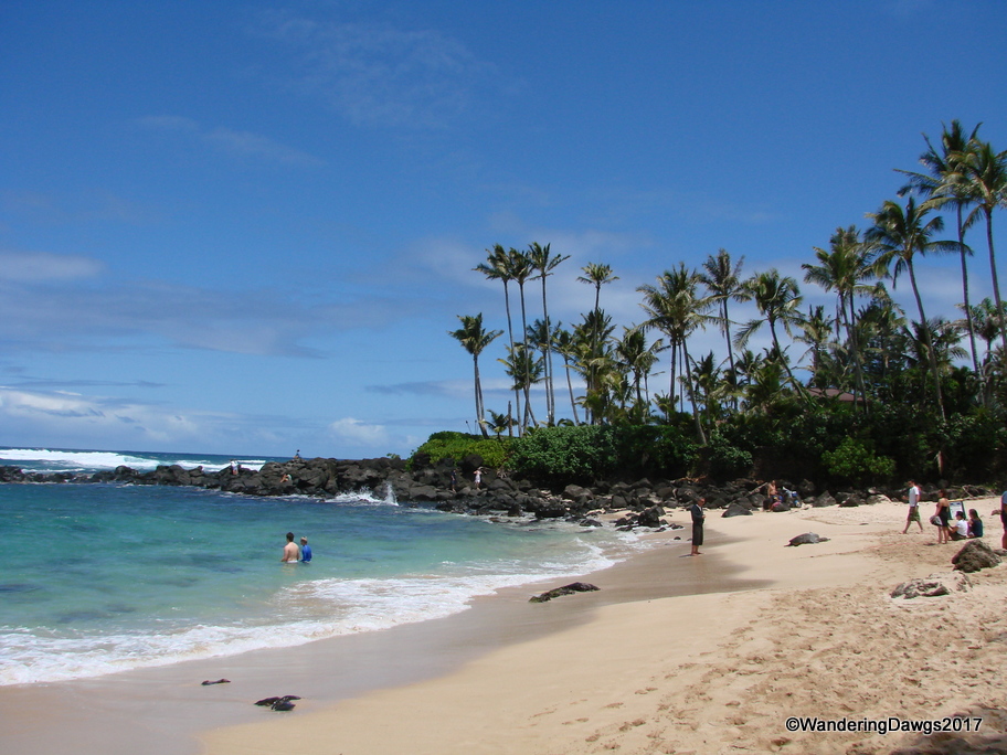 Turtle Cove on the north shore of Oahu