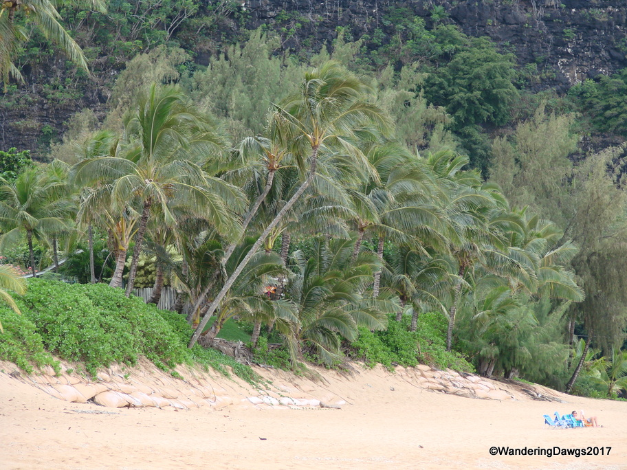 Beach on Kauai