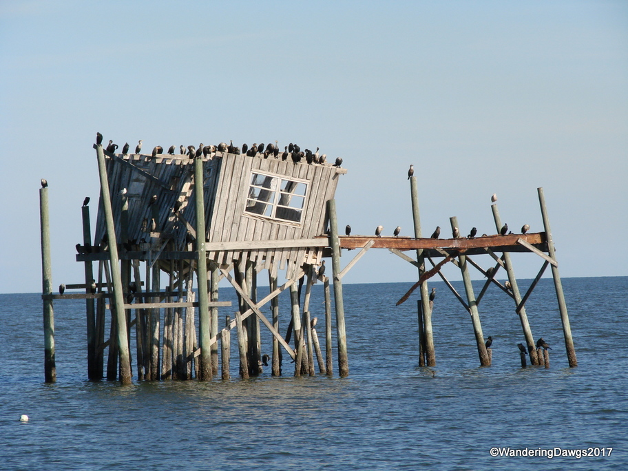 Honeymoon Cottage, Cedar Key, Florida