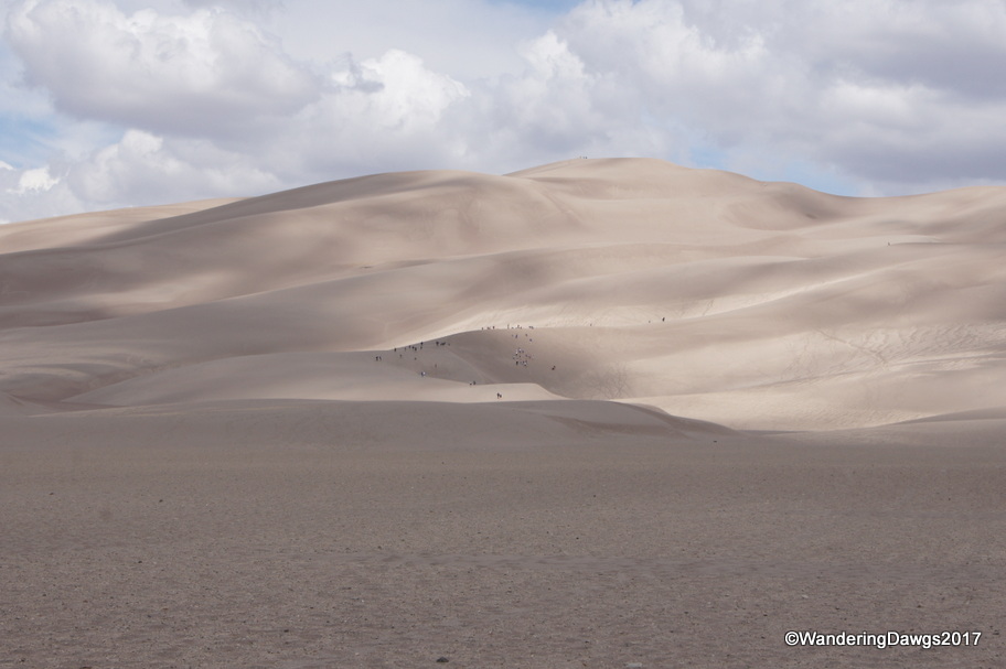 The people look tiny on the Great Sand Dunes