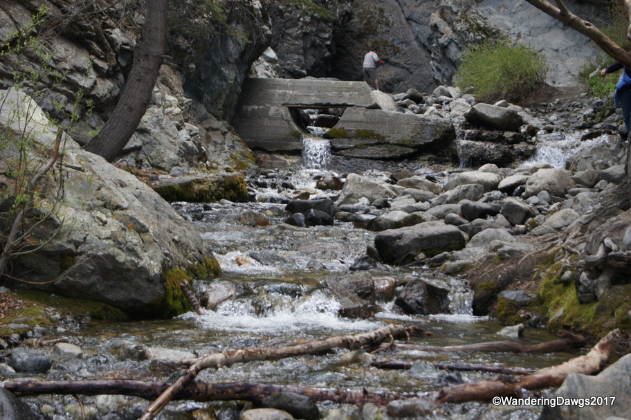 On the trail to Zapata Falls near the Great Sand Dunes