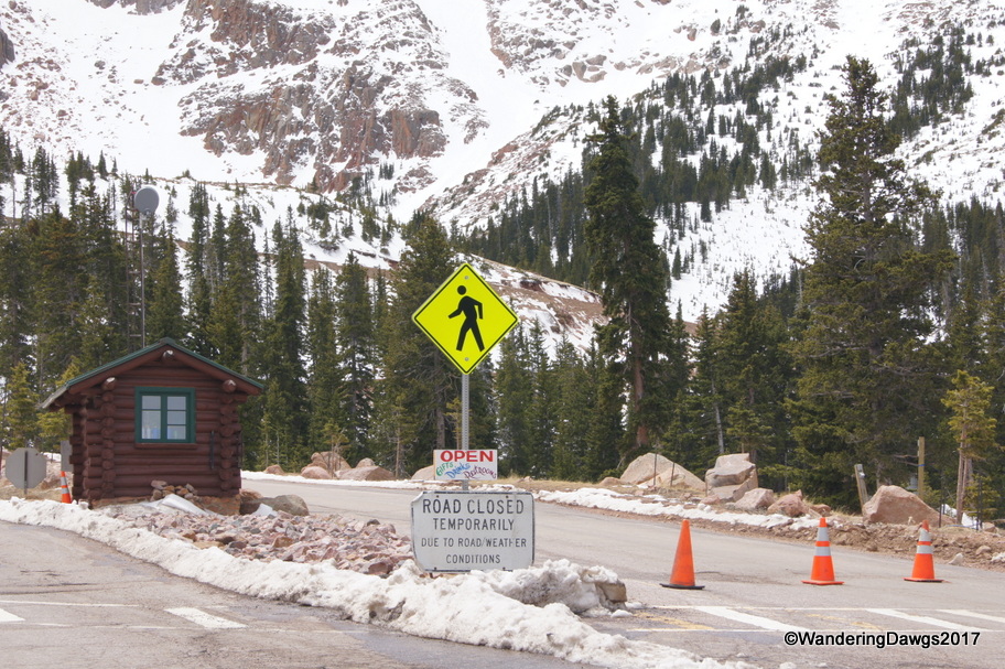 At elevation 11,424 feet, we were as far as we could go on the Pikes Peak Highway