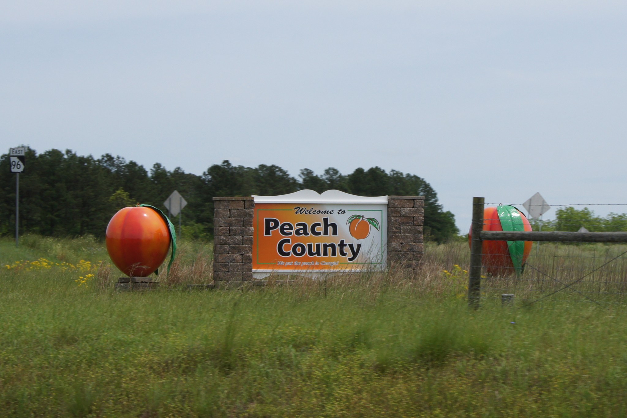 Peach County, Georgia