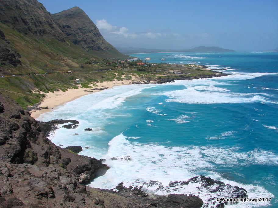 We could see surfers in the water from this overlook on Oahu