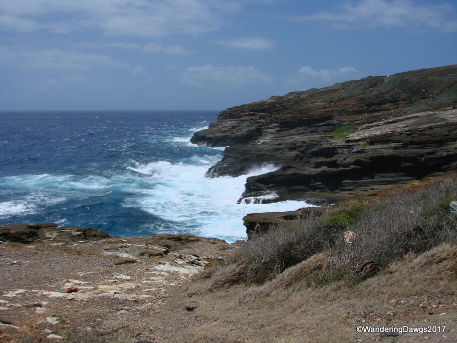 Watching the waves on Oahu