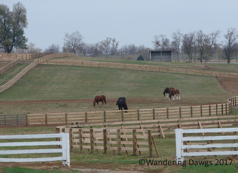 Kentucky Horse Park