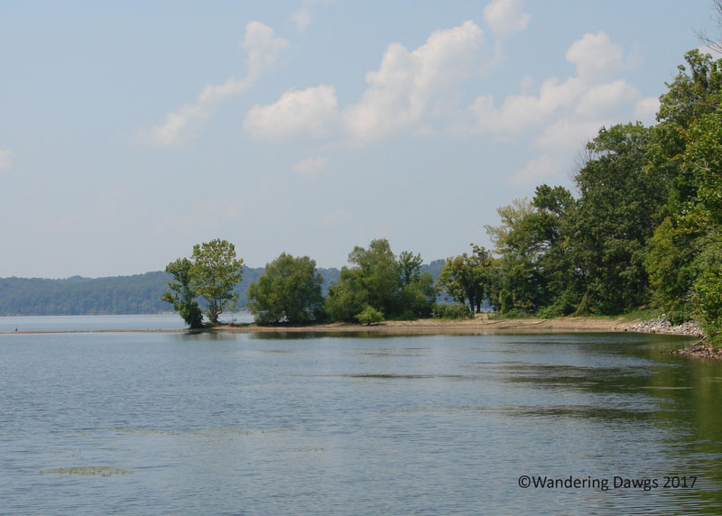 Rushing Bay on Kentucky Lake