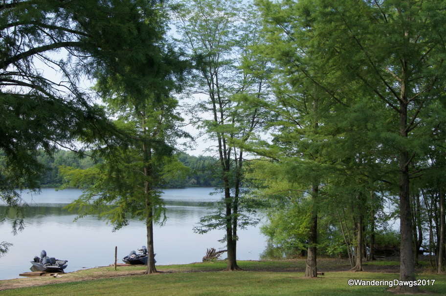 South Sandusky Campground on Rend Lake near Sasser, IL