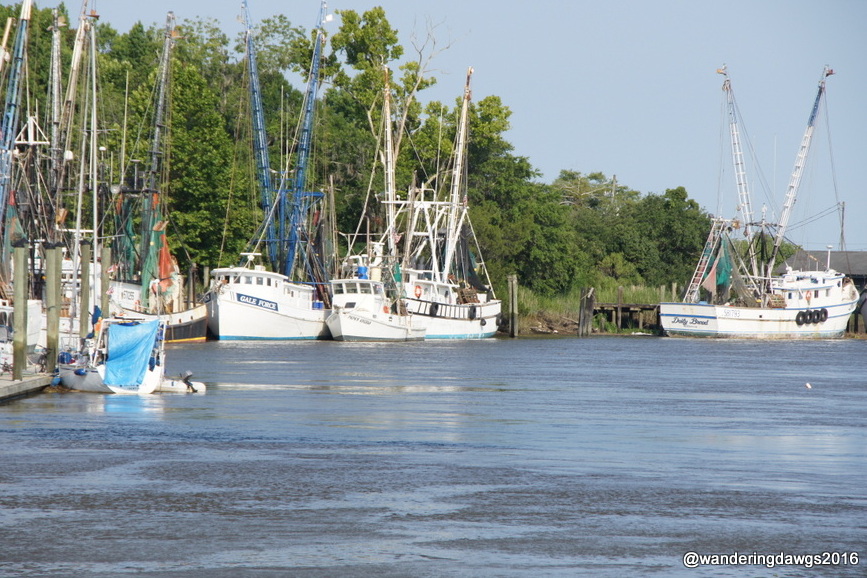 Shrimp Boats in Darien