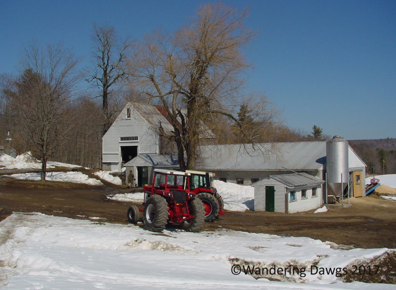 Maine Maple Sunday at Ridley Farm