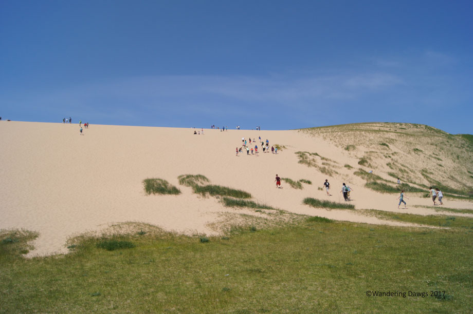 20100528Sleeping-Bear-Dunes-(24)
