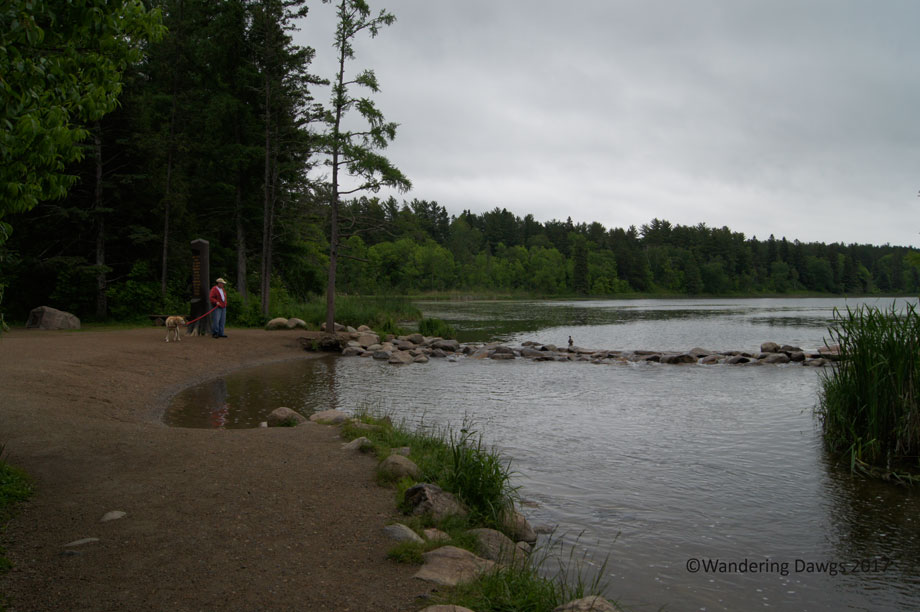 Mississippi River Headwaters in Itasca State Park