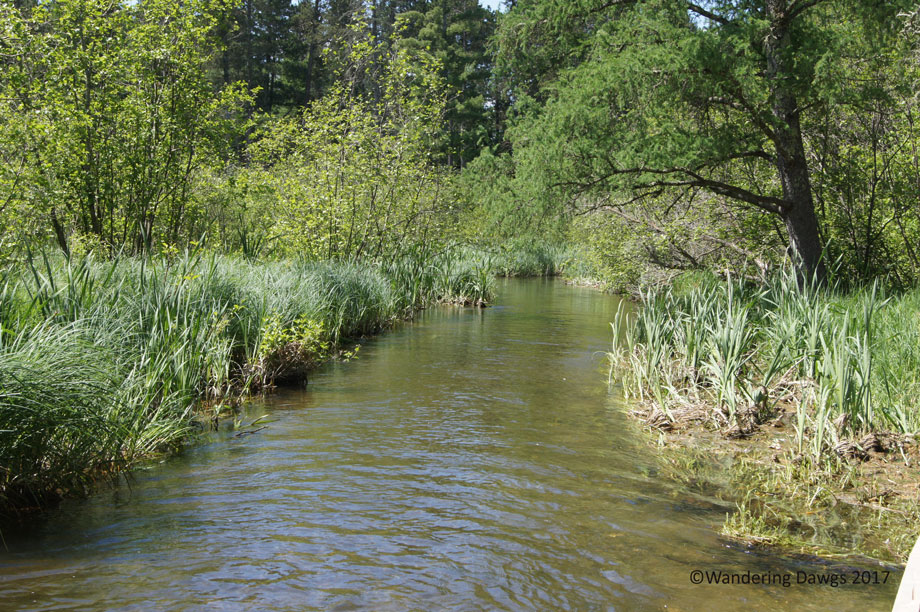 Mighty Mississippi River near the headwaters