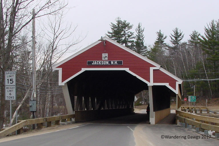 015White-Mountains-(36)