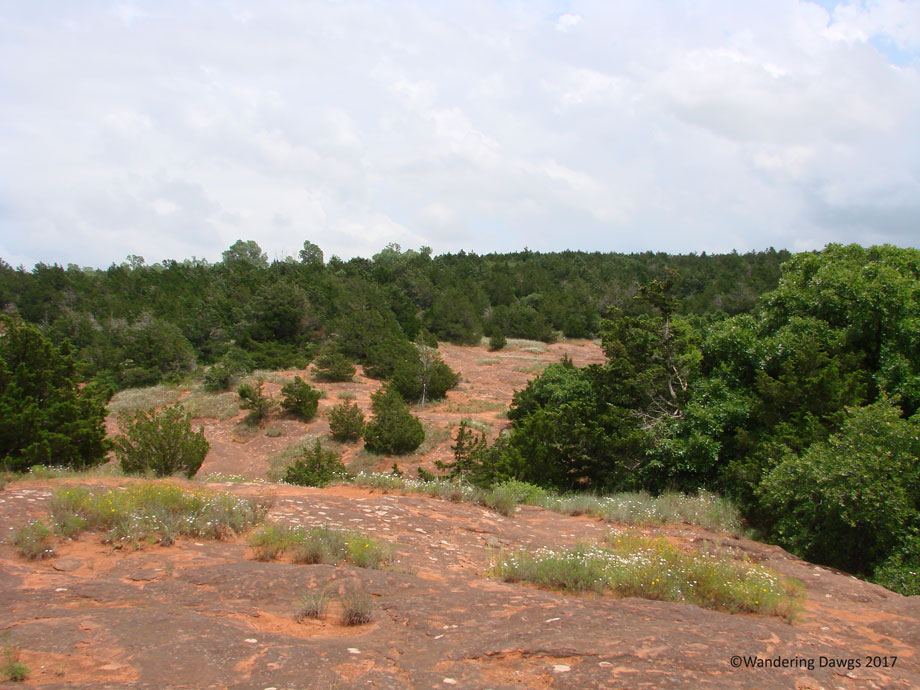 20070610Red-Rock-Canyon-(9)