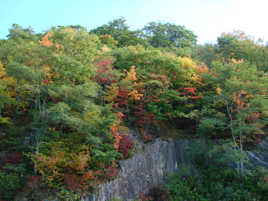 20071006Blue-Ridge-(8)