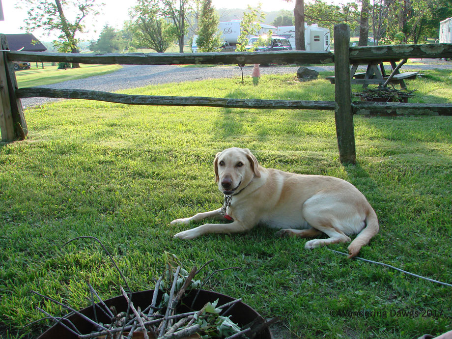 20080606Pips-house-and-Ohio-(14)