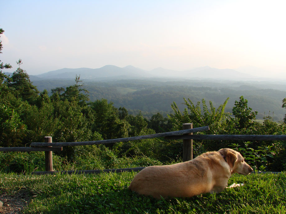 20090807-3Campfire-Lodging-(5)