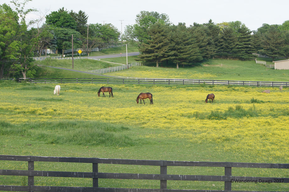 20100525Evergreen-Park-Ohio-(7)