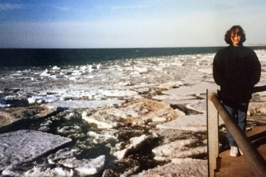 Ice-on-Lake-Erie2