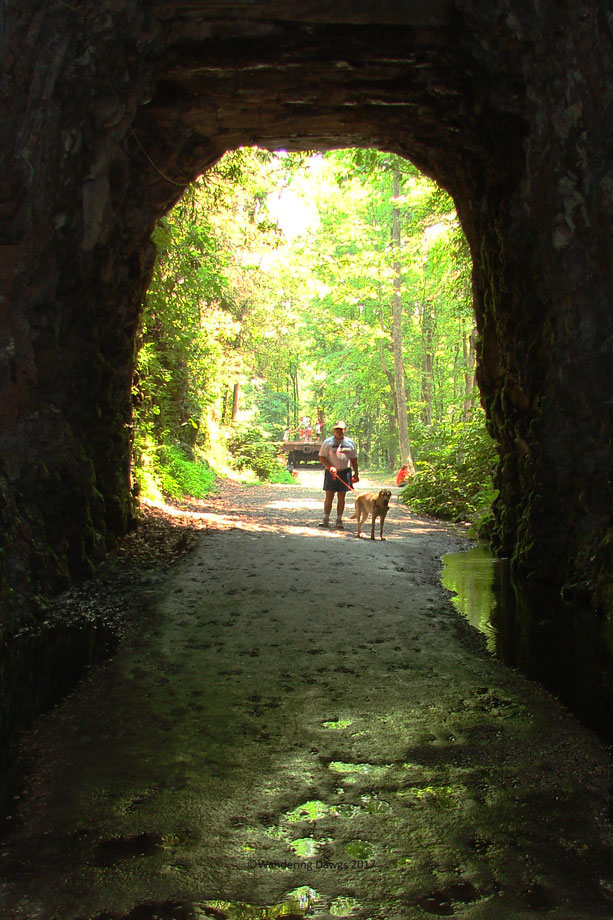 200708153Stumphouse-Tunnel-(13)