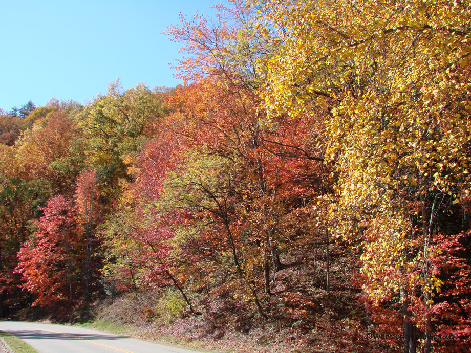 20081105Cades-Cove-(9)