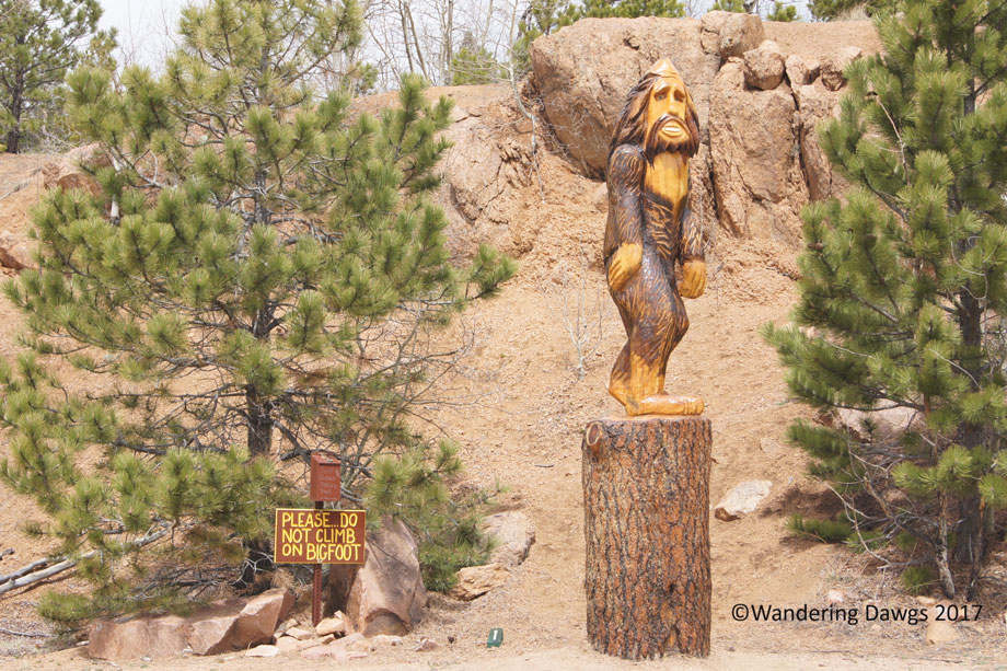 20110526Pikes-Peak-(23)